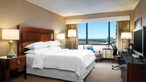 Traditional King, Guest room, 1 King