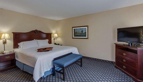 King Room with King Bed - Non-Smoking