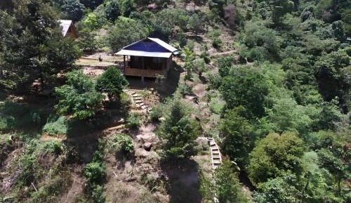 Bungalow with Garden View