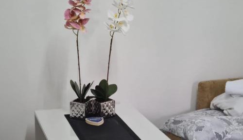 Mixed Dormitory Room