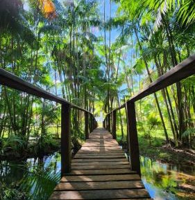 Double Room with Balcony (2 Adults + 1 Child)