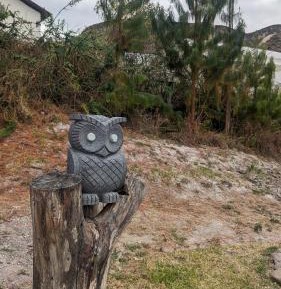 Double or Twin Room with Terrace