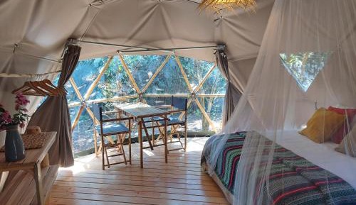 Double Willow Tree Domo Tent