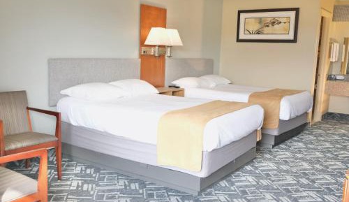Deluxe Two Double Beds - Non-Smoking