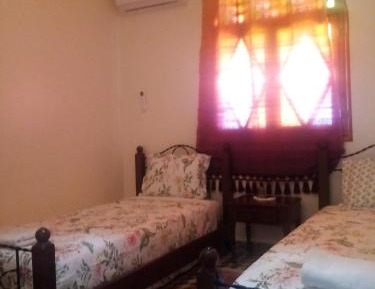 Double or Twin Room with Terrace