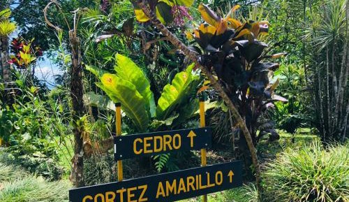 Bungalow with Garden View