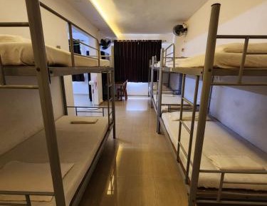 Bunk Bed in Male Dormitory Room 