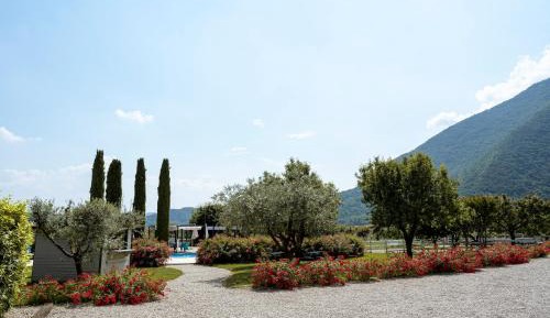Double Room with Pool View