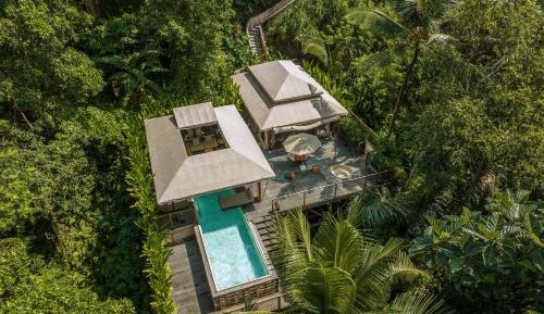 Luxury Hanging Tent with Pool