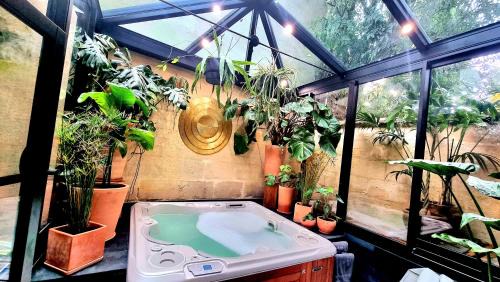 King Suite with Spa Bath
