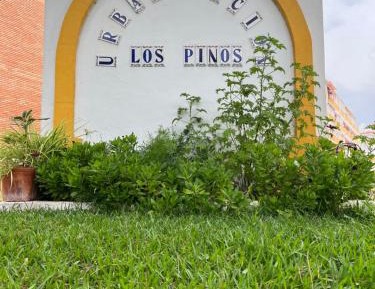 One-Bedroom Apartment with View