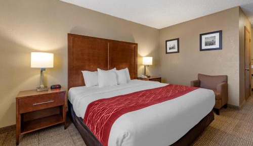 King Room - Accessible/Non-Smoking