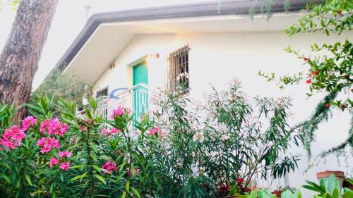 Apartment with Balcony with separate entrance