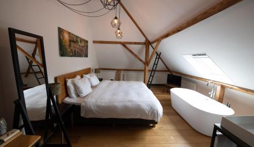 Superior Deluxe Double or Twin Room 