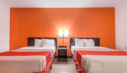 Quadruple Room - Non-Smoking