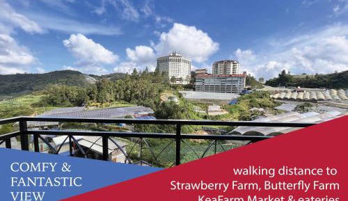 Studio with Mountain View