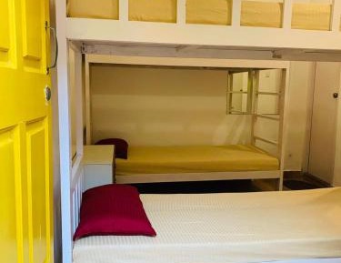 Bed in 4-Bed Mixed Dormitory Room