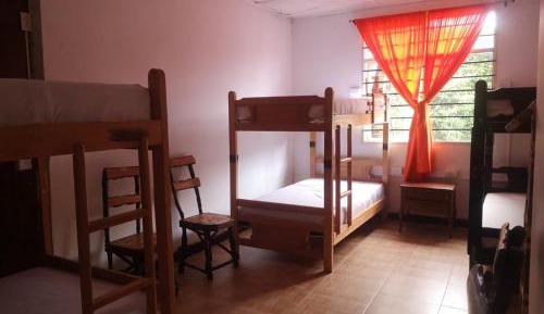 Single Bed in 6-Bed Dormitory Room