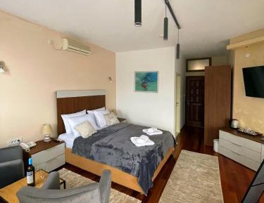 Deluxe Double or Twin Room with Pool View