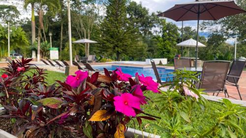 Three-Bedroom Chalet