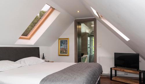 Attic Double Room with Jacuzzi in the Bathroom