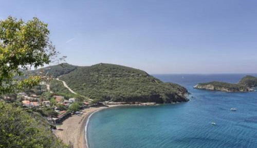 Superior One-Bedroom Apartment