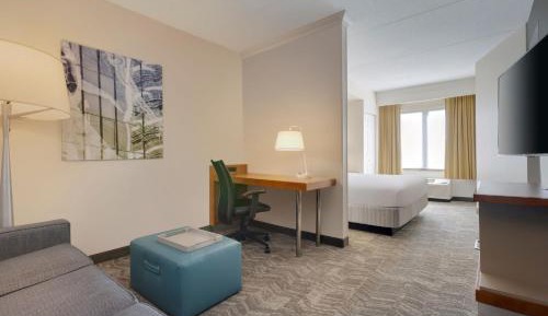 King Suite with Sofa Bed