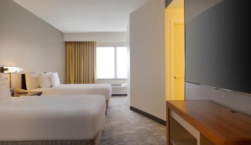Double Suite with Sofa Bed