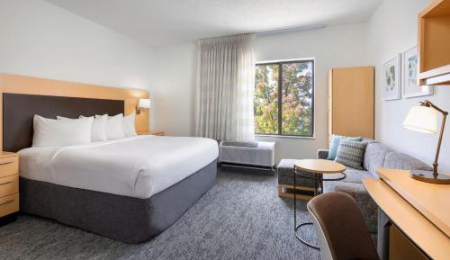 King Studio with Sofa Bed