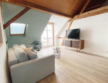 One-Bedroom Apartment with Shower