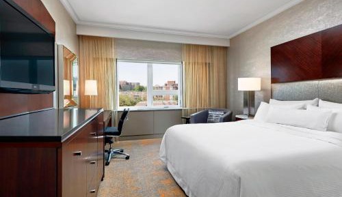 Traditional, Guest room, 1 King