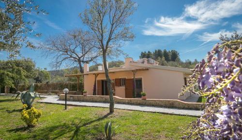 Superior One-Bedroom Apartment