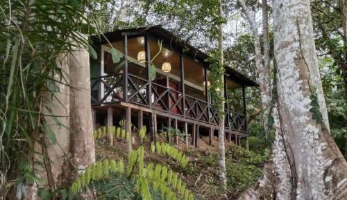 Single Room with Lake View