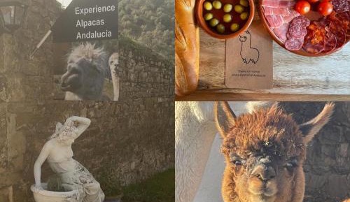 Guest house with Two Bedrooms