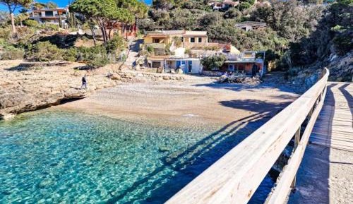 Superior One-Bedroom Apartment