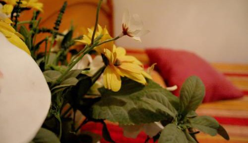 Economy Single Room with Shared Bathroom