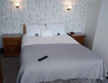 Large Single Room