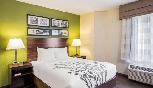 Queen Room with Roll-In Shower - Accessible/Non-Smoking