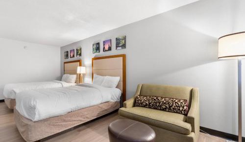 Double Room with Two Double Beds - Non-Smoking