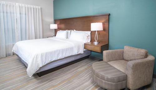 One-Bedroom King Suite with Sofa Bed