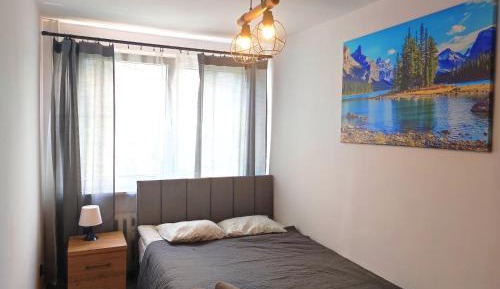 Three-Bedroom Apartment - Łaciarska 11 Street