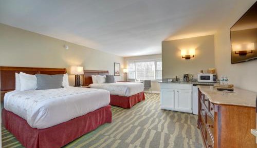 Queen Superior Room - No Pets Allowed