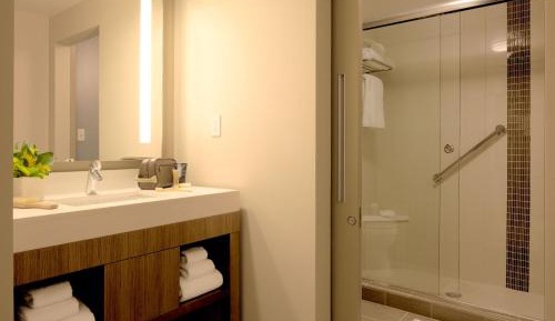 Large King Room with Sofa Bed