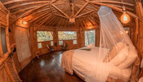 Bungalow - Water Front 