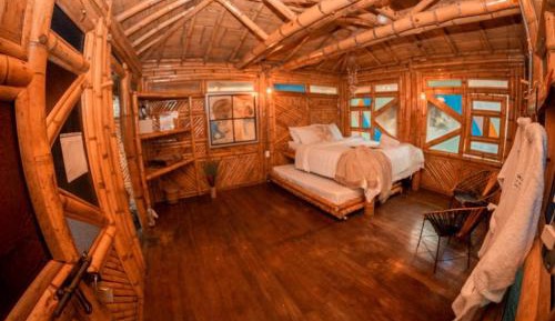 Bungalow - Water Front 