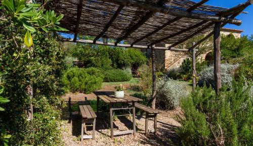 Two-Bedroom Superior Apartment