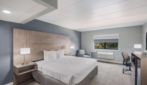 King Suite with Walk-in Shower - Disability Access