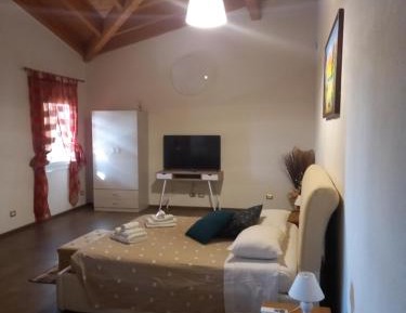 Studio with Garden View