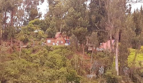 One-Bedroom Holiday Home