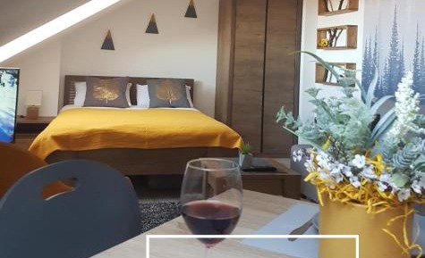 Apartment with Mountain View